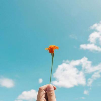 神彩争霸8下载手机版截图